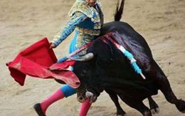 Đấu trường thành chính trường