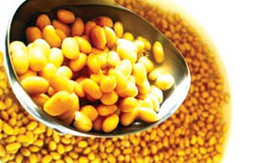 Đàn ông ăn nhiều đậu nành sẽ vô sinh?