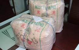 Phát hiện hạt dưa chứa chất gây ung thư