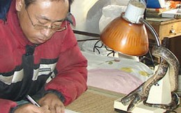 Một con rắn trả ơn người cứu mạng