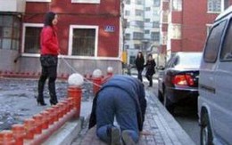 Dắt người yêu như dắt... cún cưng