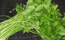 Các bài thuốc chữa bệnh từ rau cần