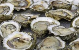 Bí quyết để khỏe mạnh trong tuần trăng mật