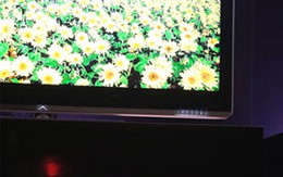 Ngắm TV tỷ màu của Sharp