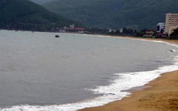 Treo thưởng bắt cá dữ cắn người ở bãi biển Quy Nhơn