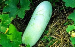 Những rau củ tốt cho da bị mụn