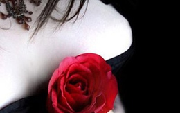 "Thâm cung bí sử (9-6): Một bông hoa hồng
