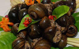 Bài thuốc bổ dưỡng chữa bệnh từ ốc