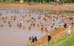 Đổ xô bắt cá hồ Xuân Hương làm giao thông tắc nghẽn
