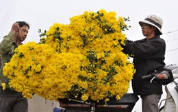 Miền Bắc ấm dần đến giáp Tết nguyên đán