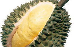 Tác dụng chữa bệnh của quả sầu riêng