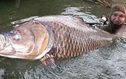 Cuộc chiến đấu chống lại "quỷ dữ"