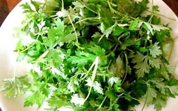 Những cây thuốc quý cho sức khỏe phụ nữ