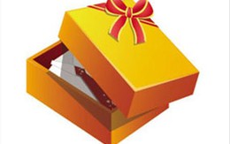 Vờ tặng quà, bóp cổ chủ nhà "khoắng" sạch két sắt