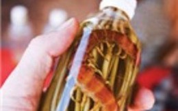 Suýt chết vì uống "rượu thuốc"