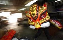 Người Trung Quốc kiêng kết hôn năm Canh Dần  