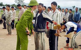 Những vụ vượt ngục khôi hài 