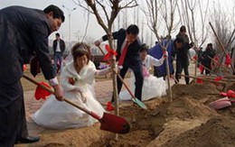 Những cái Tết đặc biệt trên thế giới
