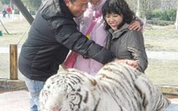Đầu năm đi... sờ mông hổ
