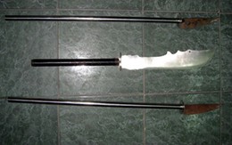 Một trận hỗn chiến, 65 năm tù