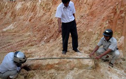 Sống cùng bom tấn, cả xóm kinh hoàng