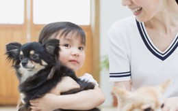 Chó, mèo và những nguy cơ với sức khỏe