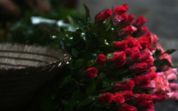 Bánh mì và hoa hồng