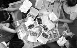 Hộp, đĩa dùng một lần có chất gây ung thư