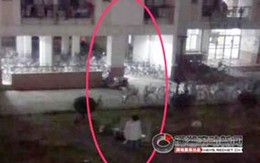 Bất tỉnh vì... quỳ gối cầu xin người yêu