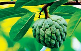 Trái cây, biết cách ăn mới bổ