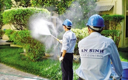 6 cách khắc phục mối xông