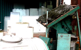Doanh nghiệp nói có - phường bảo không