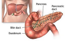 Chế tạo thành công thiết bị tụy nhân tạo 