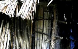 Giết bố đẻ vì không được chia tài sản
