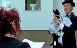 Cưới một con mèo sắp chết làm vợ