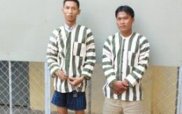 Đi cướp lấy tiền mua sữa… cho con