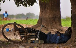 Người ngủ ít dễ chết sớm