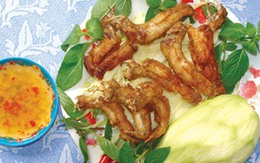 Cá bống dừa