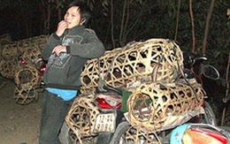Khởi tố bị can hành hung phóng viên Thế Dũng