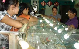 Giá vàng tuột dốc không phanh