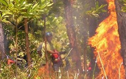 Rừng cháy ngùn ngụt phía nam đèo Hải Vân