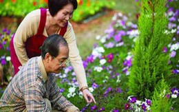 Sưng khớp, đau khớp do Viêm khớp dạng thấp