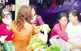 Chọn rau không hóa chất