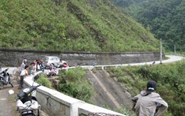 Hơn 1000 con chó rơi xuống vực sâu do tai nạn