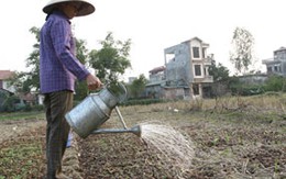 Tìm ra nguyên nhân “sốt” đất phía Tây Hà Nội
