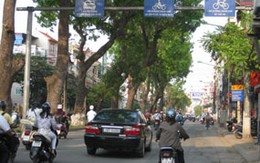 Loay hoay tìm câu trả lời