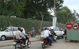 Sau nửa tháng tăng xử phạt giao thông: Xe lớn êm, xe nhỏ vẫn rối