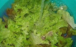 Lưu ý khi rửa rau bằng thuốc tím
