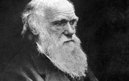 Bí ẩn hủy hoại cả dòng họ Darwin