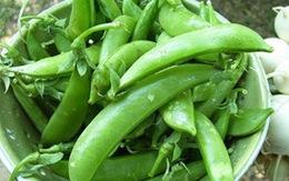 Các món ăn chứa nhiều chất khoáng